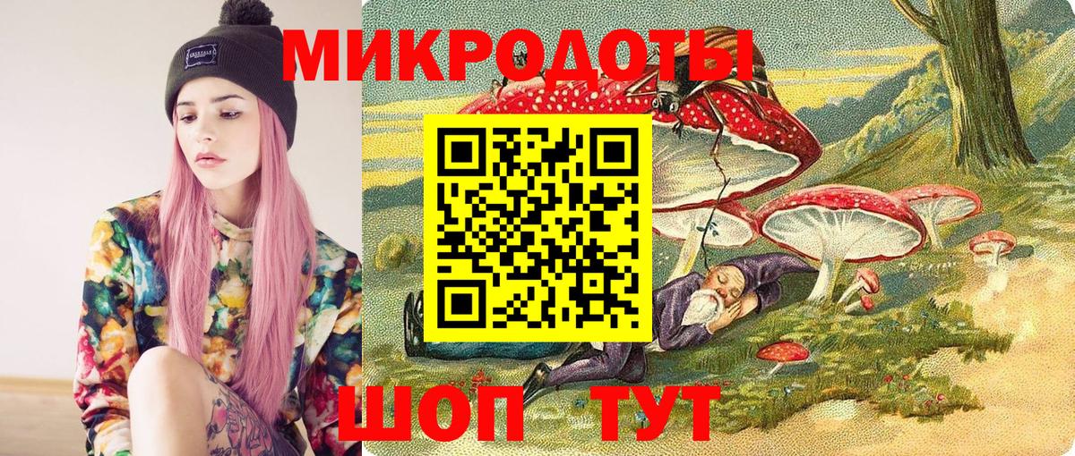 Холмск  Псилоцибиновые грибы Cubensis  Вход с VPN 