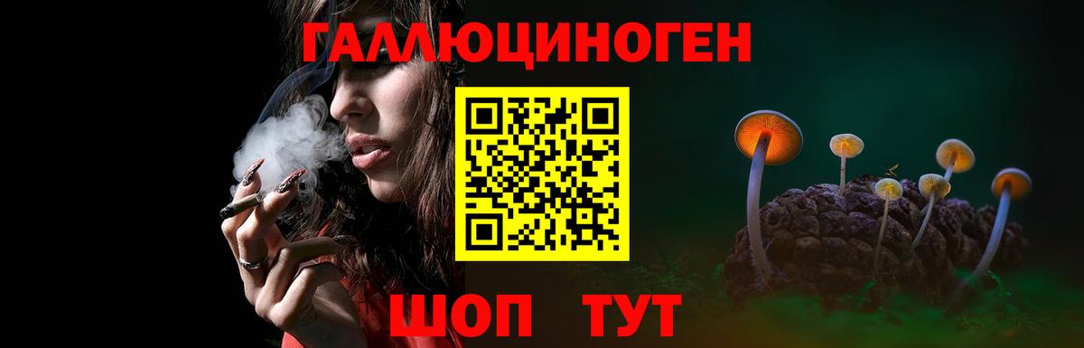 Галлюциногенные грибы мицелий Холмск